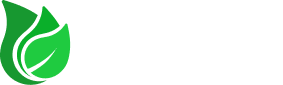 Toraj